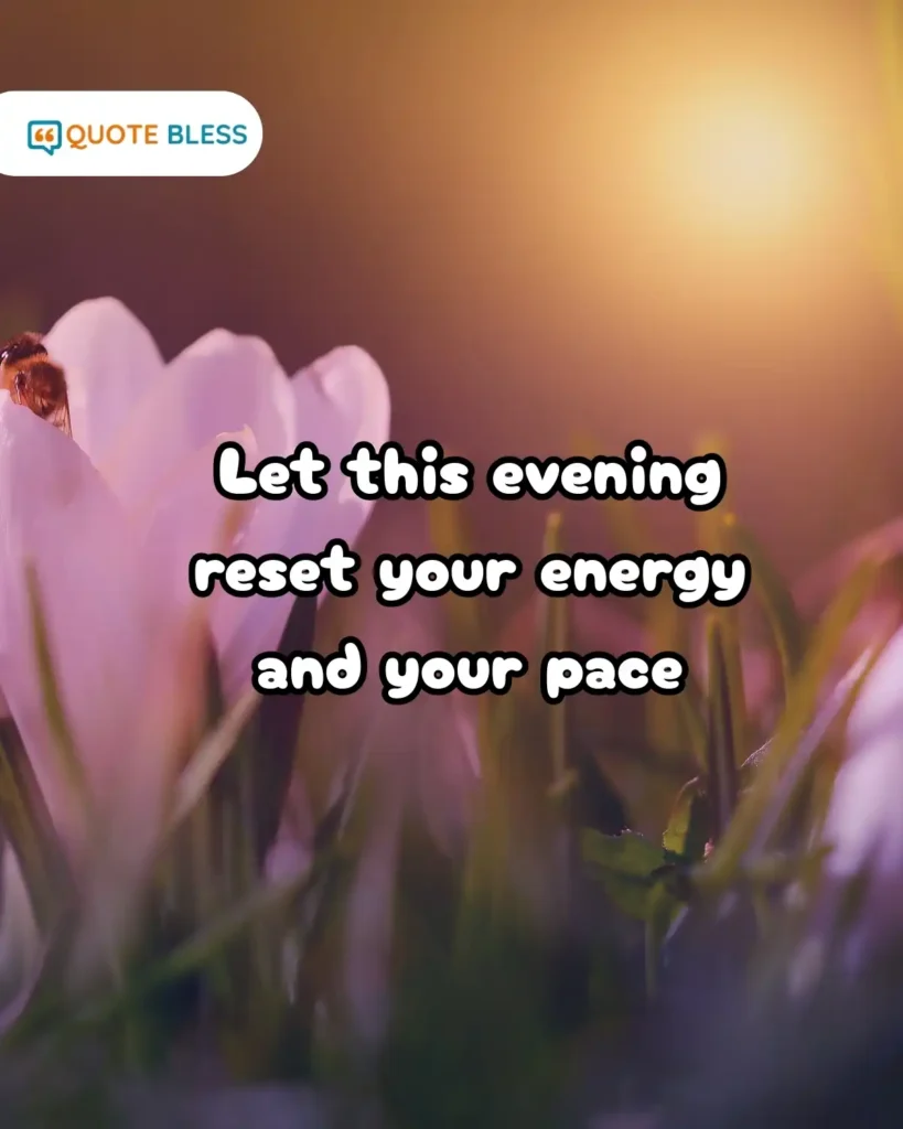 Adorable Messages for Warm Evening Vibes