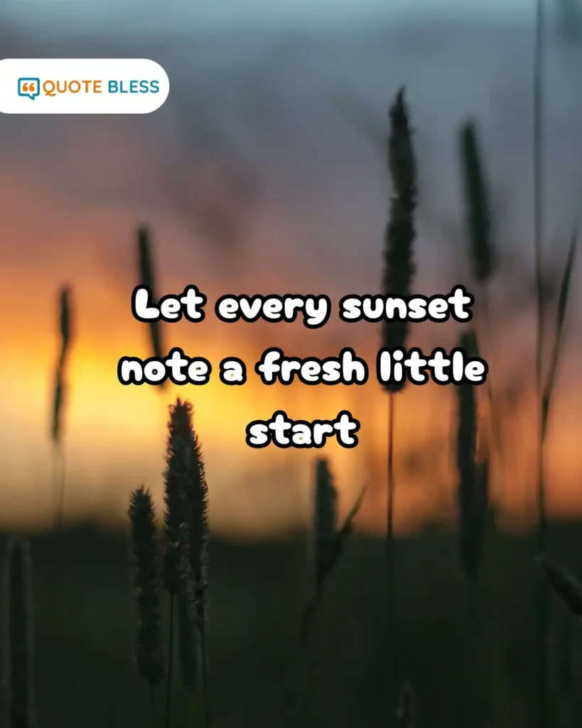 Witty Evening Status for Friends