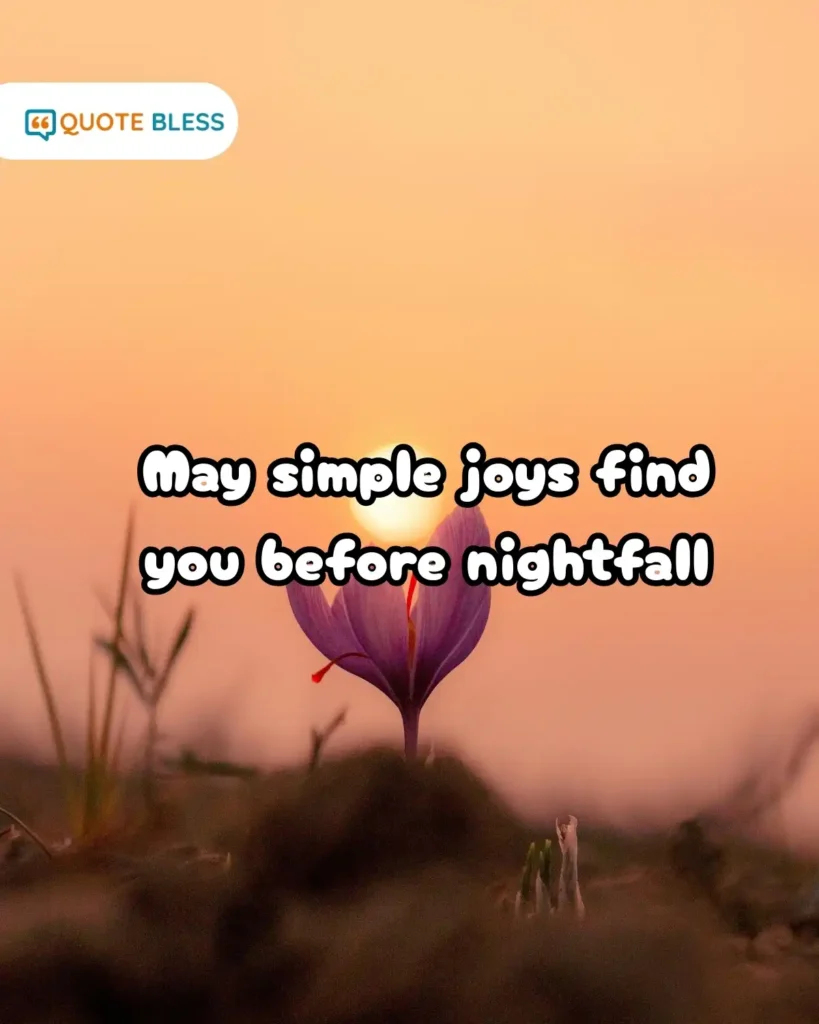 Tea and Sunset Aesthetic Evening Lines