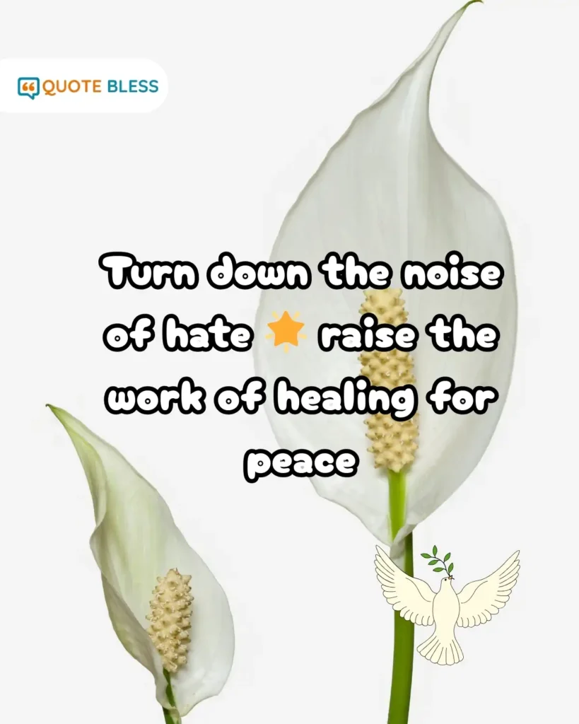 Peace Day healing over hate