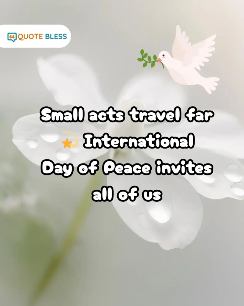 International Day of Peace small acts