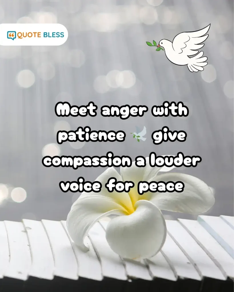 Peace Day compassion patience
