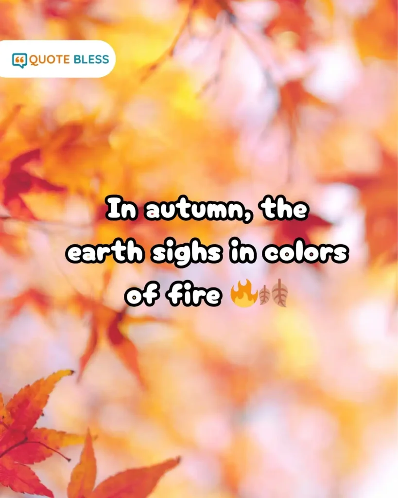 In autumn, the earth sighs in colors of fire 🔥🍂