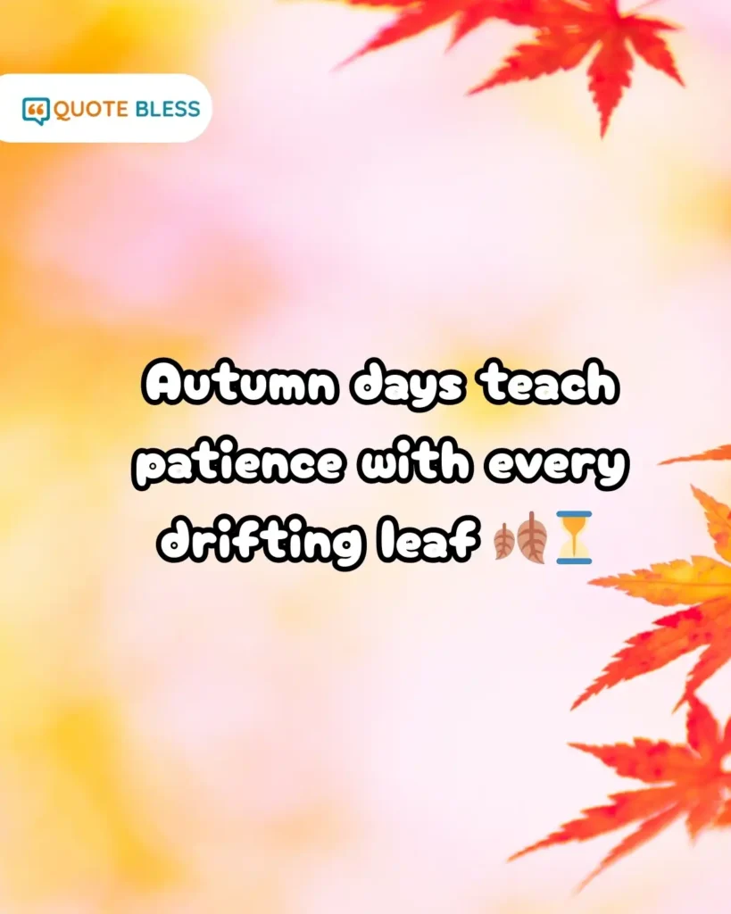 Autumn days teach patience with every drifting leaf 🍂⏳