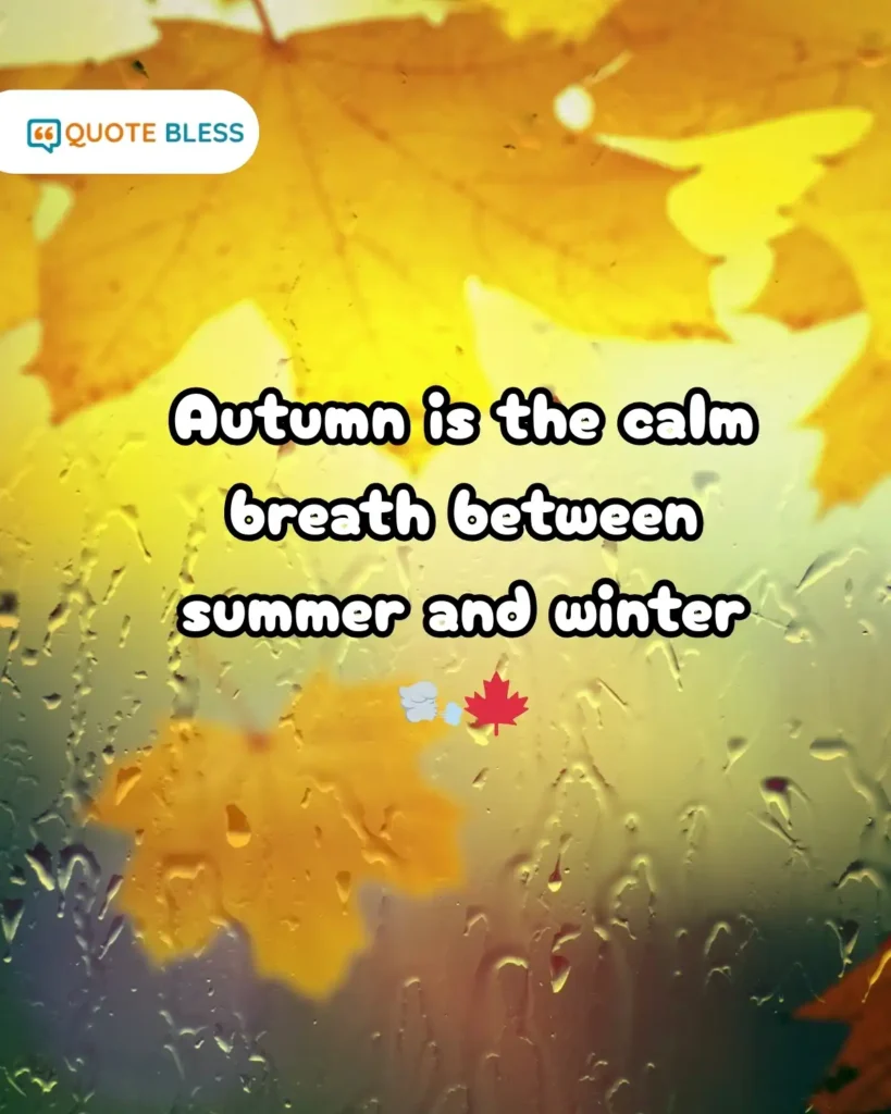 Autumn is the calm breath between summer and winter 🌬️🍁